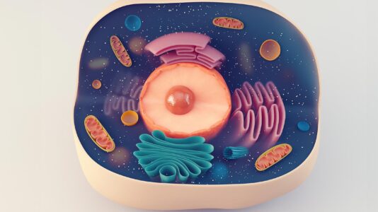 Grafični prikaz celice z organeli (domišljijski)