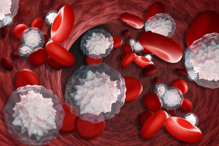 Računalniški prikaz koncepta hiperosmolarnosti krvi