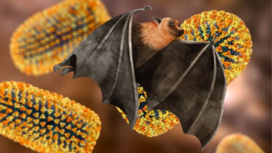 V ozadju je Lyssavirus, preko njega pa leti netopir, pri kateremu so ga odkrili.