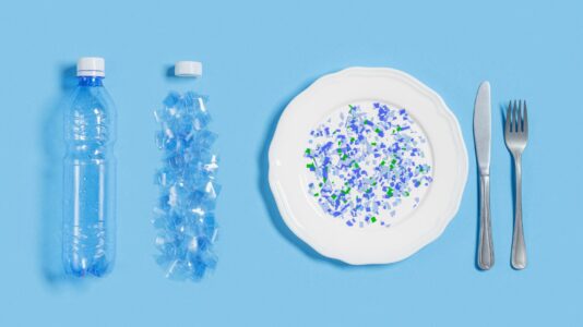 Krožnik, na katerem je mikroplastika in razgraditev plastične steklenice, kar simbolizira problem plastičnega onesnaženja.