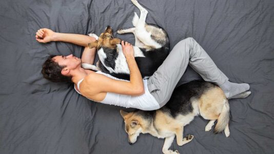 Ptičja perspektiva: moški spi na postelji z dvema psoma