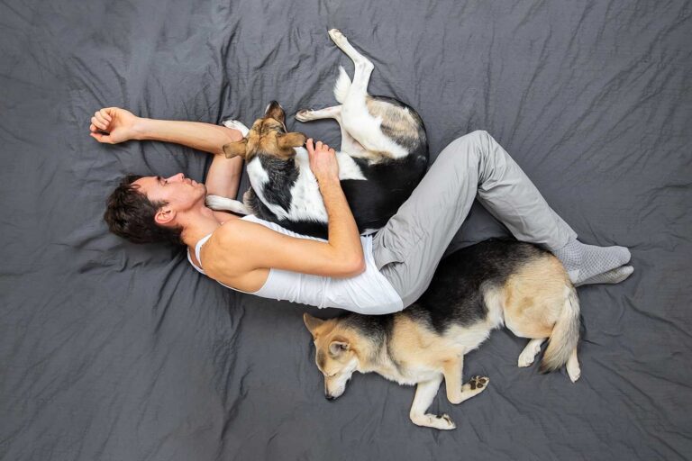 Ptičja perspektiva: moški spi na postelji z dvema psoma